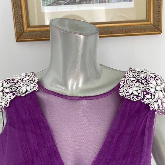 KATHY HILTON Raspberry Fit & Flare Mesh Dress Beads Embellished Shoulder Size 10 - Picture 8 of 14